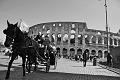 Roma - 017 Colosseum